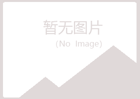 阳江白山化学有限公司